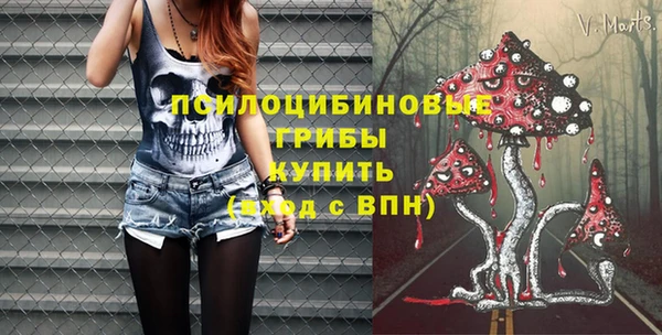 бошки Армянск