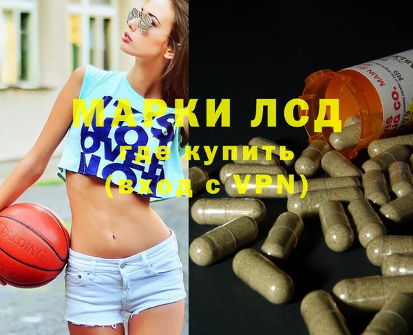 сатива Аркадак