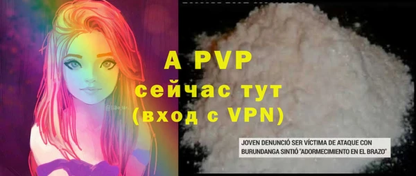 сатива Аркадак
