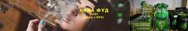 сатива Аркадак