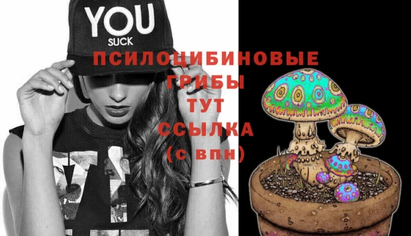 бошки Армянск